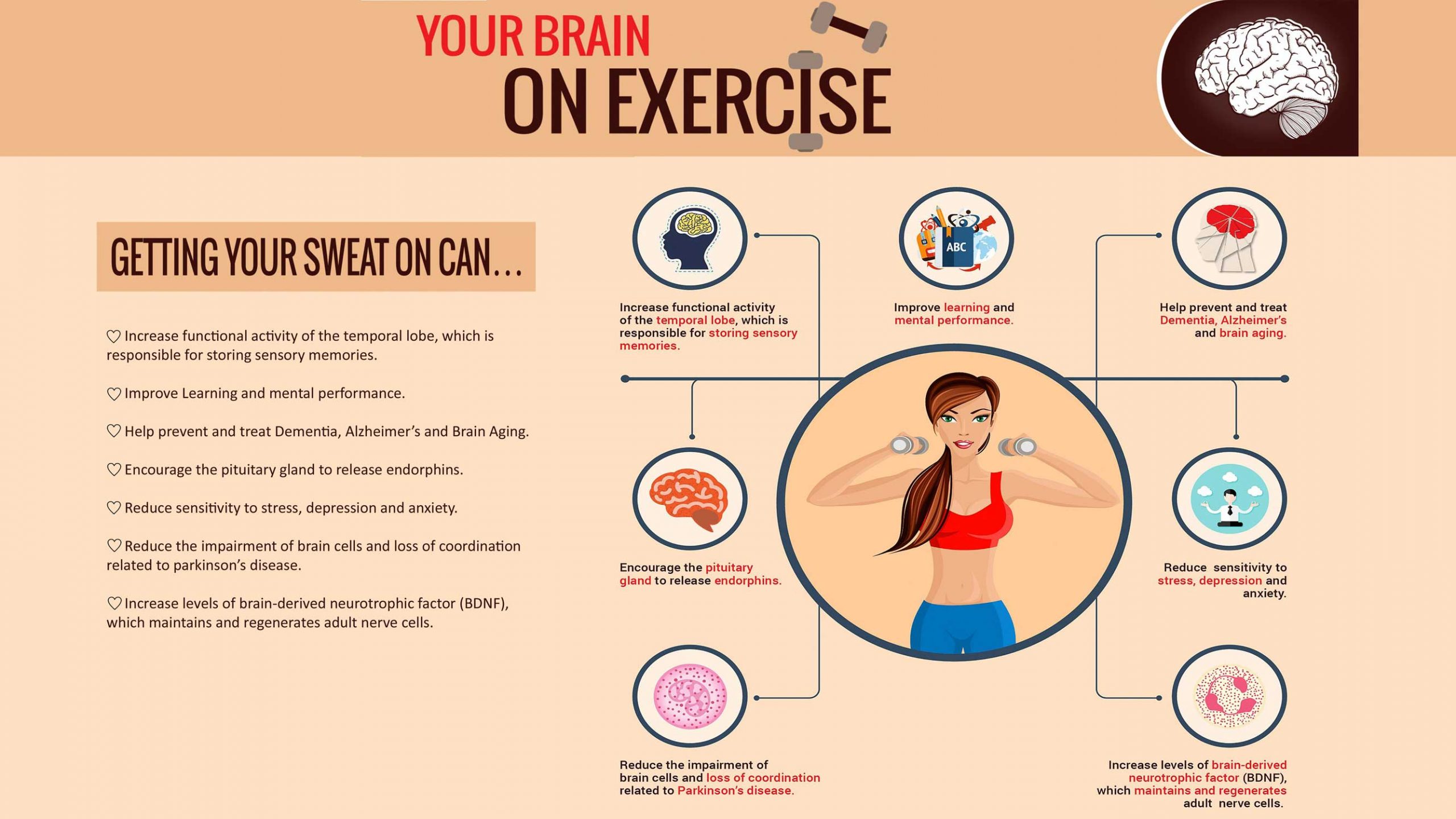 YourBrainOnExercise