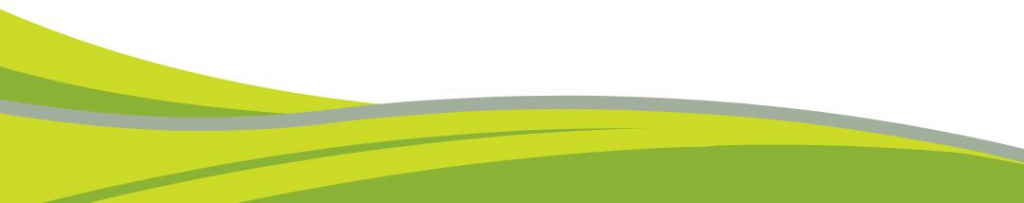 Fusion Footer